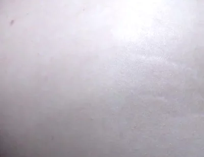 Stepdaddy Fucks Leo Fox
