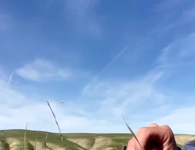 Cowboy Jacks off in a Farm Field