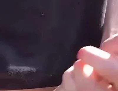 The Sunshine