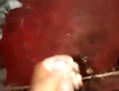 867486332044197888.mp4