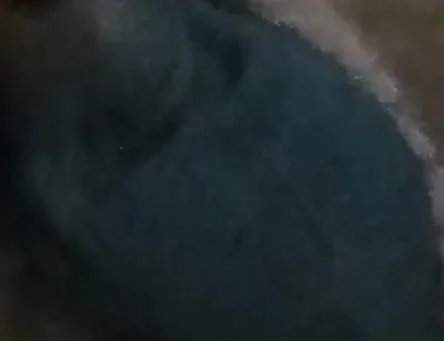 Who Wants My Dick?