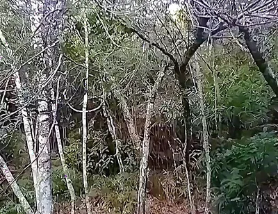 I Went to the Waterfall and Showed off Before Someone Came and Caught Me.