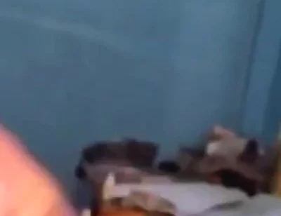 Haydenbbc Video