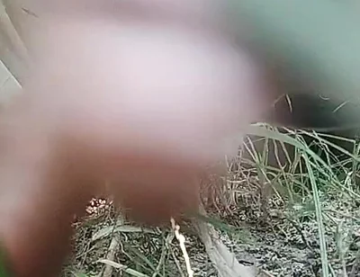 The Village Boy Went to the Cornfield and Hit Him Hard