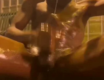 Oily Black King Dick