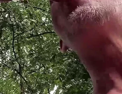 Caught in the Act