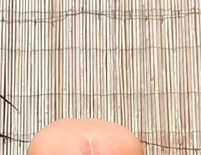 Anal Stretching