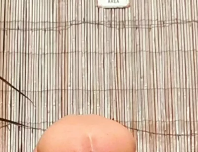 Anal Stretching