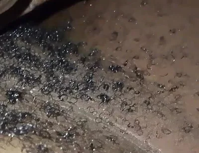 Inside Bedroom Sex