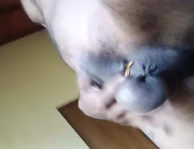 Uncut Cock an Balls Pressure Ring Swing