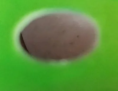 You Can See My Ass Through the Holes in the Green Screen