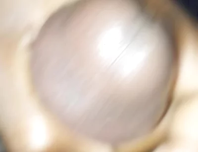 Big Cock Mastubate Till Cum
