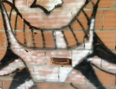 Amateur Boy Caught Bare Ass in Abandoned Building