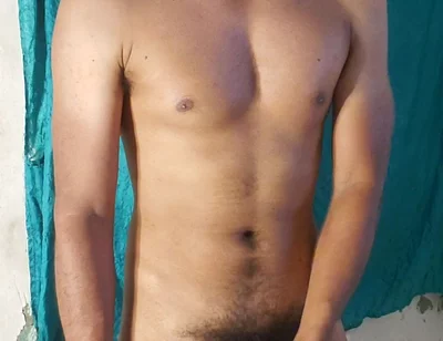 Male Stallion