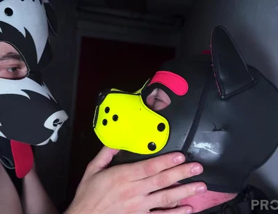 Basement Encounter