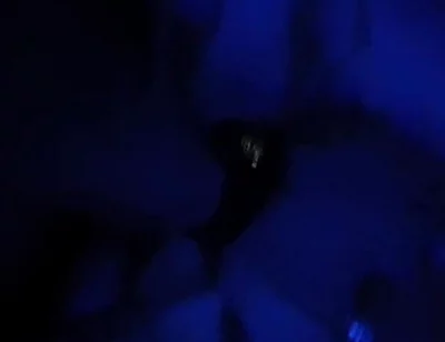 Blue Romance, Blowjob From a Sensual Blonde