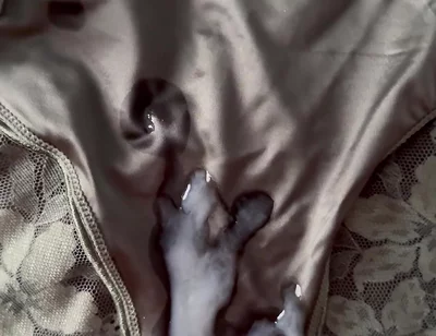 Cum on Wife’s Panties 14