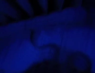 Blue Romance, Blowjob From a Sensual Blonde