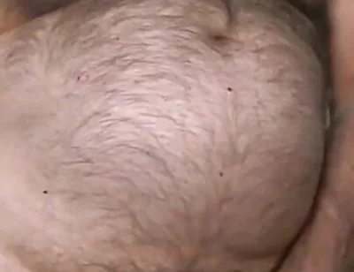 Furry Bear Coach Karl Live Cam Show