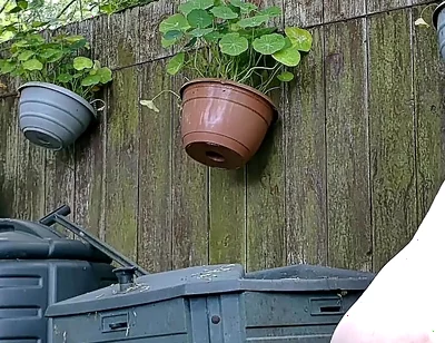 Live Outdoor Strip,dildo and Sounding Show with Cum