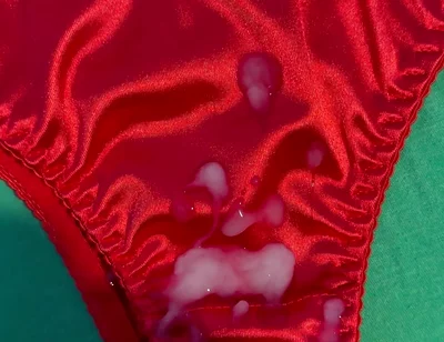 Cum on Wife’s Panties 15