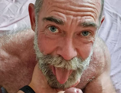 Bear Needs a Load