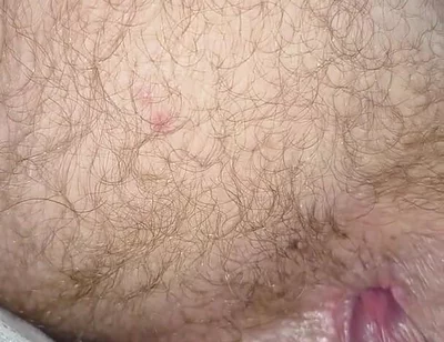 Eat My Ass and Drink My Nut