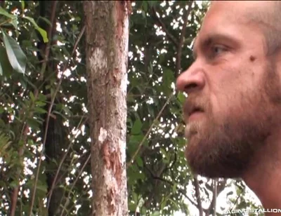 Lords of the Jungle