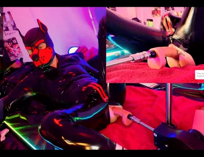 Doggy Rubber Show