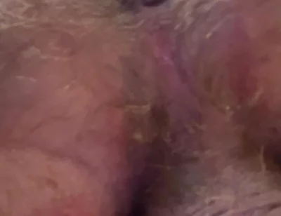 Showing off My Ass Hole