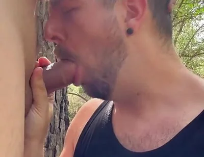 Forest Cruising