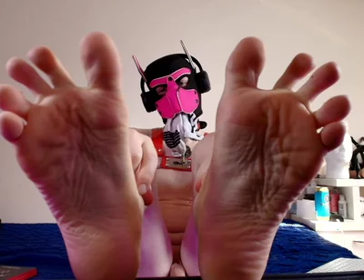 Paws Right in Your Face