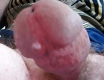 Let Cock Be Your Guide