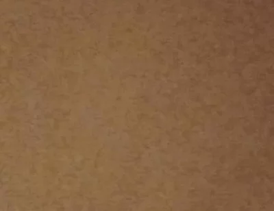 Lets Have Cum Together