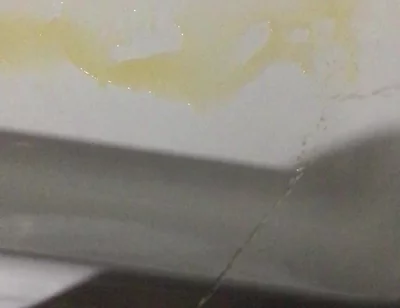 Peeing in the Bathtub