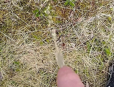 Pissing up in the Mountains