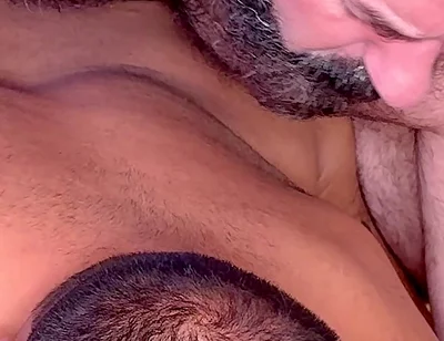 Bear Territory 1 4K