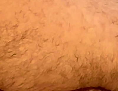 Broken Bear Fuck