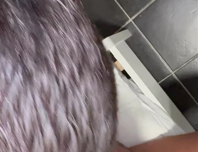 Fucked by the Black Cock