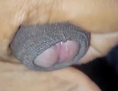 Desi Vergin Teen Gay Boy Jerking Himself