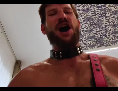 Anal Best of 2025