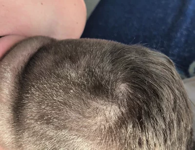 Hairy Stepdaddy Rimming and Railing His Fuck Toy and Cums a Lot