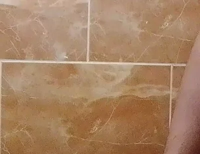 I Made a Video in the Toilet While Taking a Shower.