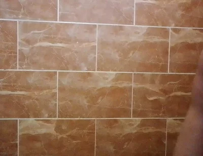 I Made a Video in the Toilet While Taking a Shower.