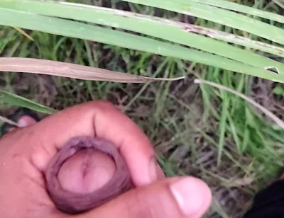 Masturbating in the Sugarcane Field