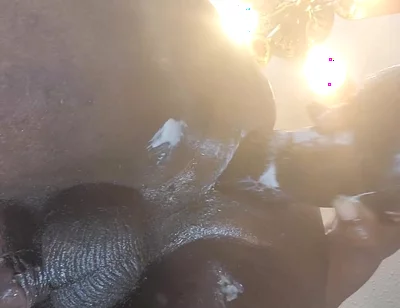 Thick 12 Inch BBC Makes My Hole Beg for Mercy