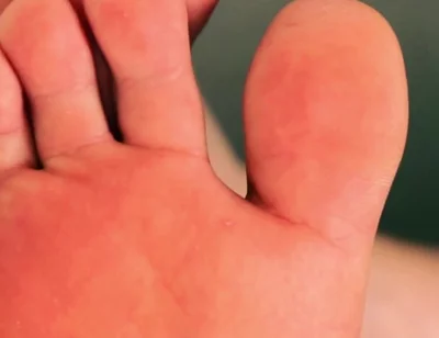 Sniff & Submit Foot Worship Trainer