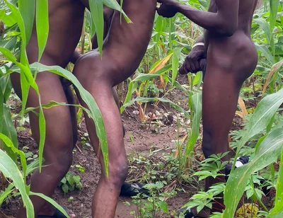 How I Had Sex with This Thuggish Guy with Huge Long Dick Inside a Corn Farm Land