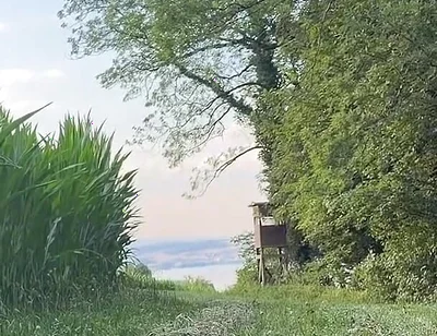Risky Bwc Stroking Outdoors on Meadow with Lake View - Big Cumshot