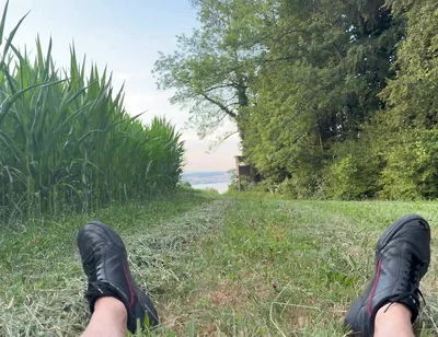 Risky Bwc Stroking Outdoors on Meadow with Lake View - Big Cumshot